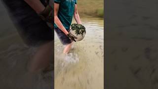 42,000,000 years this mysterious ball was under water. I found it and saw gold inside.