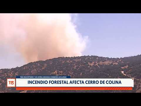 Incendio forestal afecta cerro de Colina
