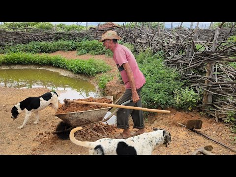 Música de Antônio Rufino imagens do sítio mamoeiro verdejante Pernambuco.