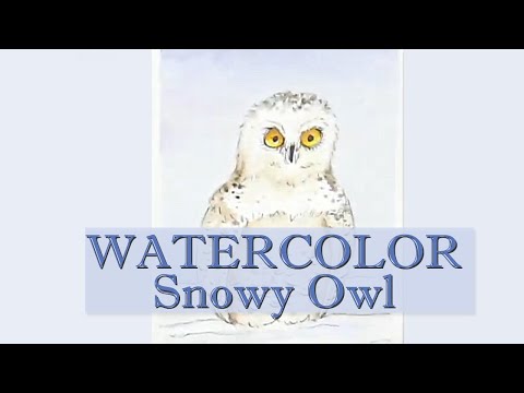 Real Time Paint a Cute Snowy Owl - How to Draw Watercolor Step By Step