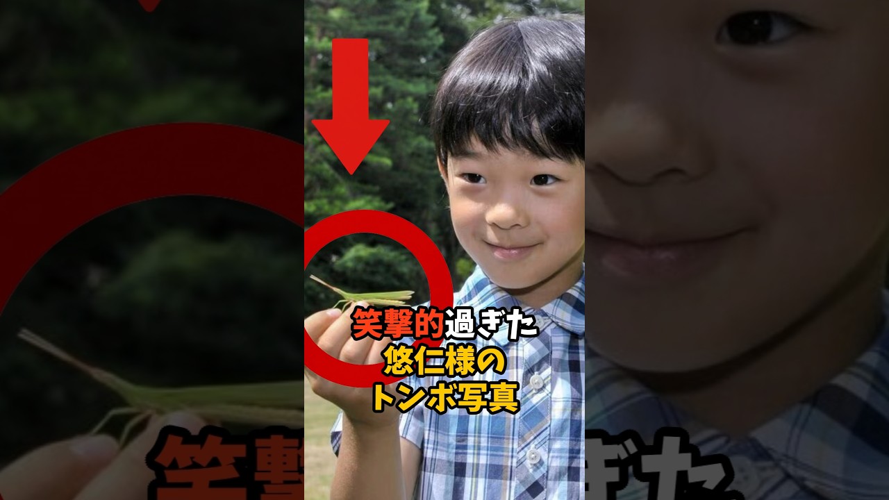 【衝撃の一枚】悠仁さまのトンボ写真をよく見てみると…　#皇室 #ニュース #報道番組 #雑学 #天皇陛下 #雅子さま #愛子さま #悠仁さま #紀子さま #shorts