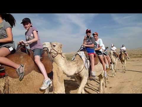Camel Riding 2