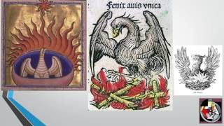 Order of the Phoenix