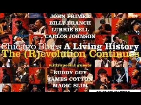 Chicago Blues: A Living History Lugano Estival 2017 XXXIV EDITION, Mendrisio, Switzerland