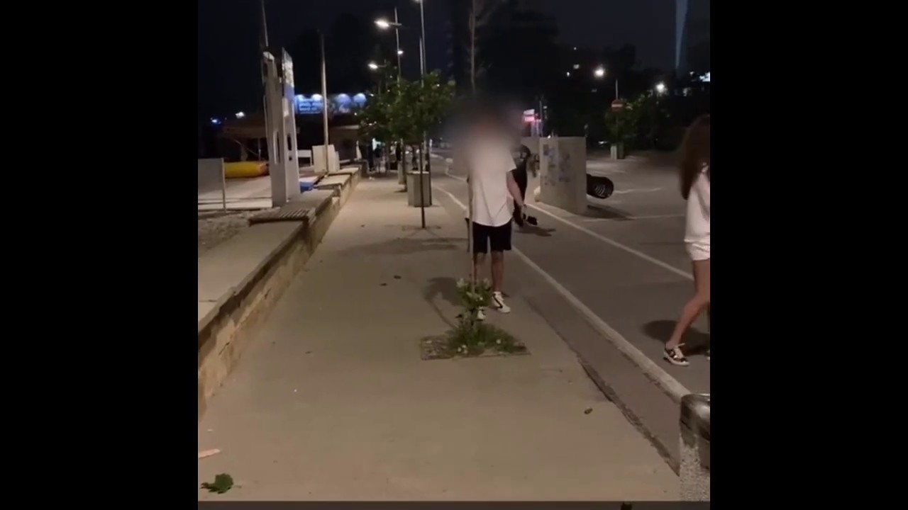 Copac rupt de un adolescent în stațiunea Mamaia pentru propriul amuzament