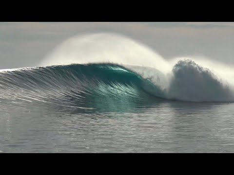 FIRST DAY OF 2021 - MOST PERFECT HT'S EVER!