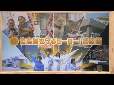 2024年3月23日(土)放送 「畜産業を守るヒーロー！獣医師」