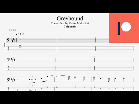Greyhound - Calpurnia