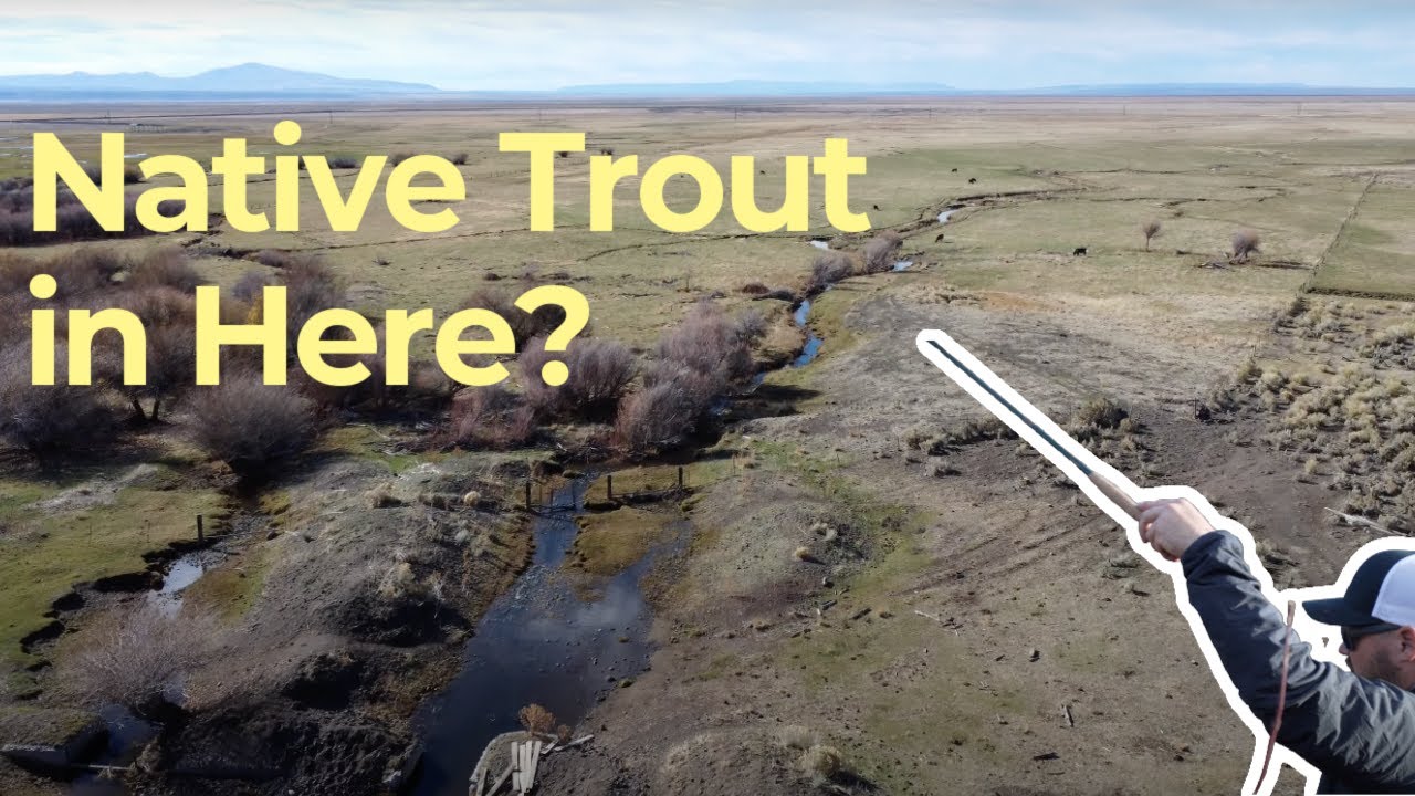 Redband Trout in Oregon - Episode 7 of the Western Native Trout Challenge
