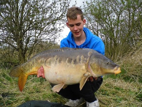 Zielfisch Karpfen - Dauerdrill in Ostfriesland #2