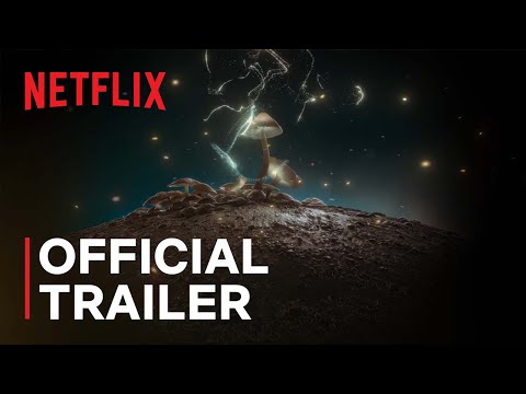 How to Change Your Mind | Official Trailer | Netflix