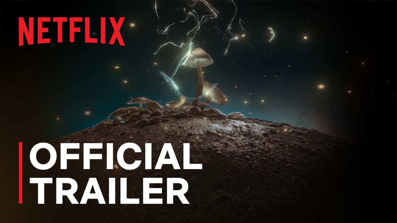 How to Change Your Mind | Official Trailer | Netflix - YouTube