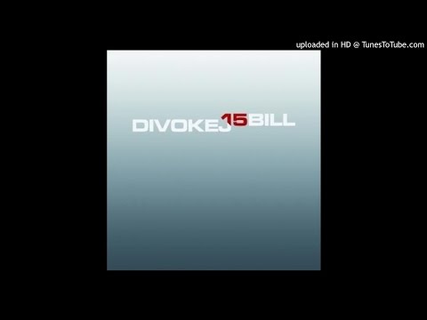 08.Divokej Bill - Zamilovaná