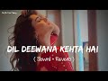 Slowed And Reverb Songs Dil Deewana Kehta Hai RAJIB 801