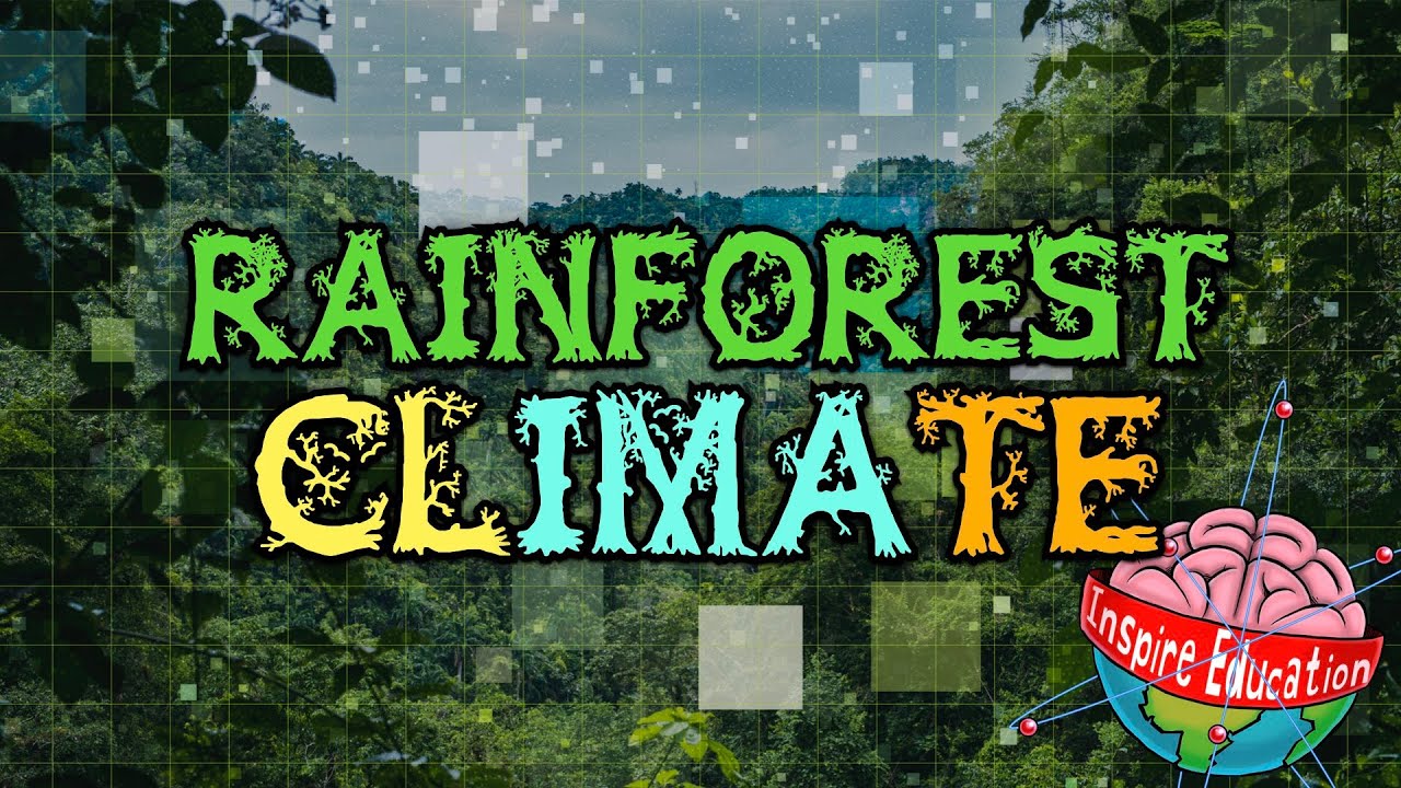 What is the amount of rainfall received in the Amazon basin?