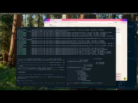 Fragen zur Agentencodierung und aktueller Arbeitsablauf