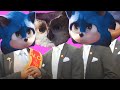 Sonic Coffin Dance Astronomia Cover