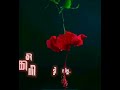 Oru Chempaneer Pooviruthu Lyrics Malayalam Song Whatsapp Status
