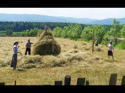 Pourquoi je vis à la campagne