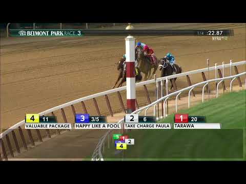 Happy Like a Fool - 2017 - Matron Stakes