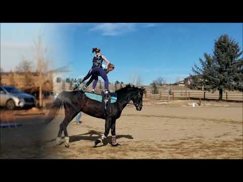 Sydney Schimack Journey to Junior World Vaulting Championships 2019