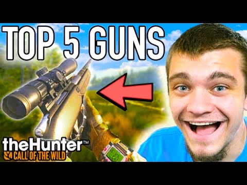 Top 5 Guns in Hunter Call of the Wild!