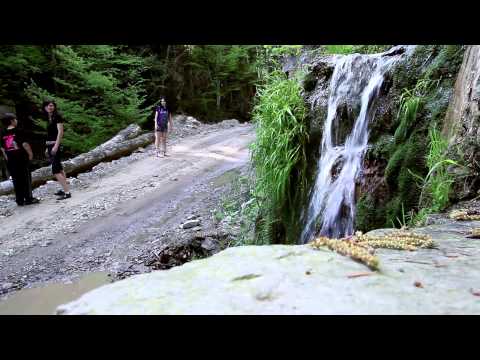 Manastirea Casin   la cascada