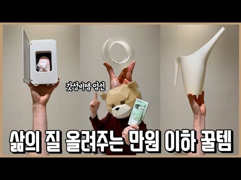 삶의 질은 겁나 올려주는데 만원 이하 실화? 보면 인생 개이득되는 가성비 꿀템들ㅣ내돈내산