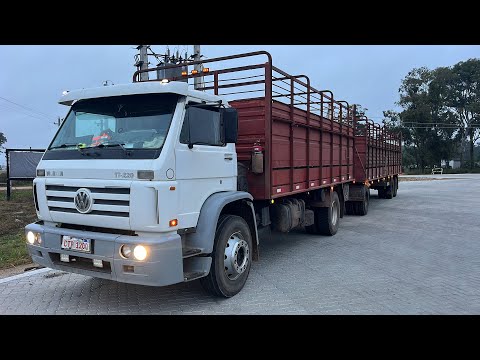 Semana de cargas para Conchillas, Colonia. Secuencia de 4 videos. Cap. 1 #camioneros #vw #camion 