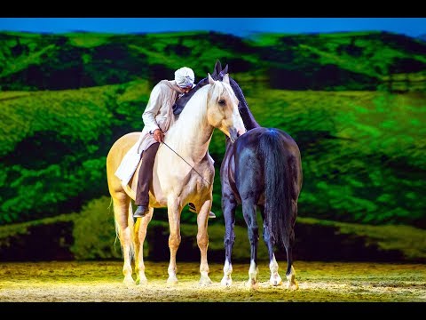 "Gefährten des Lichts" – Der indische Prinz – 2017/2018