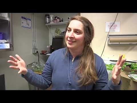 Thanksgiving Food Prep Warnings