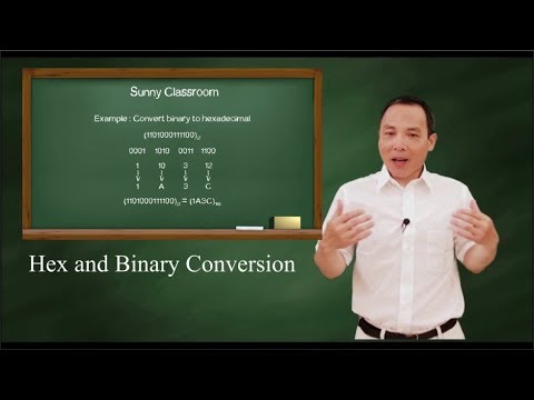 Hexadecimal and Binary Conversion