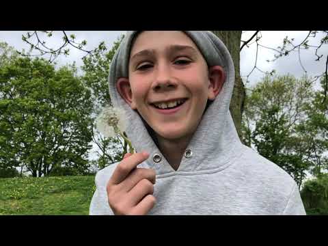 kerteminde egnens friskole nomineringer - 2019