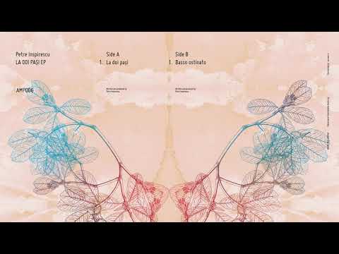 Petre Inspirescu - La Doi Pasi (AMP006)