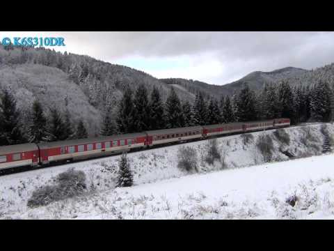 ČD 754 019 & PSŽ 770 602 & ZSSK 757 017 + 754 033