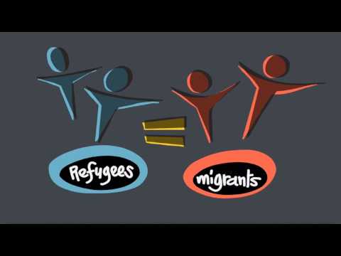 What's the difference between migrants and refugees ?