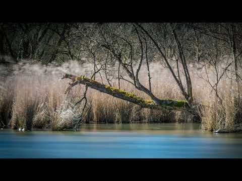 Unknown Song ("Shallow Sorrow")