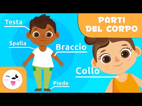 Le parti del corpo umano per bambini | Video educativi per bambini