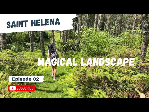 🇸🇭St Helena Island - Tour around Jamestown, Clifford Arboretum and High Peak