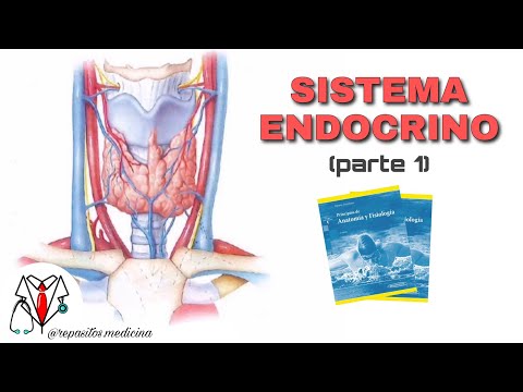 Endocrine System #1 - Tortora Derrickson