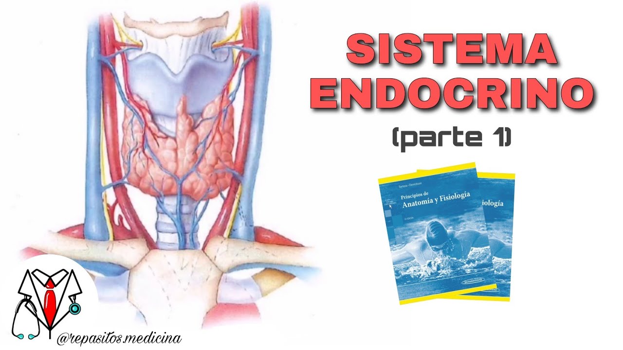 Sistema Endocrino #1 - Tortora Derrickson
