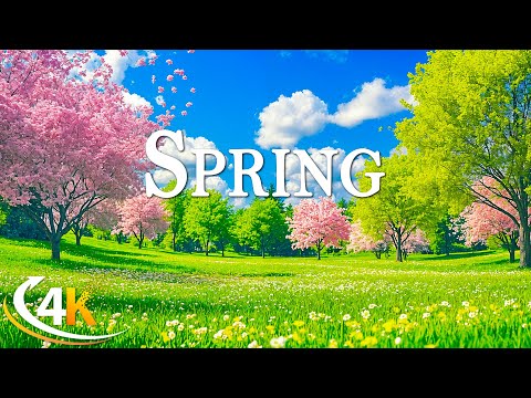 Spring in Switzerland 4K 🌞 From Snowy Peaks to Green Valleys