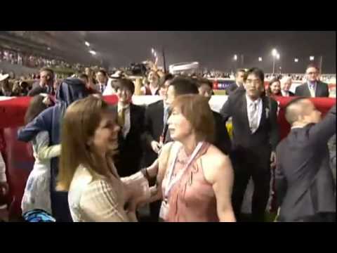 26.03.2011 Meydan (Dubai UAE) 8.Race Dubai World Cup 2011 Group I 2.000 m