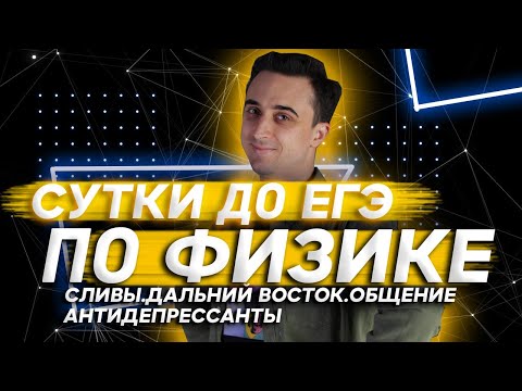 За день до ЕГЭ. Сливы, дальний восток, общение, сон, антидепрессанты.