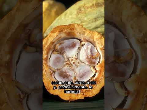 Caluma, Bolívar ¿La conocías? #shorts