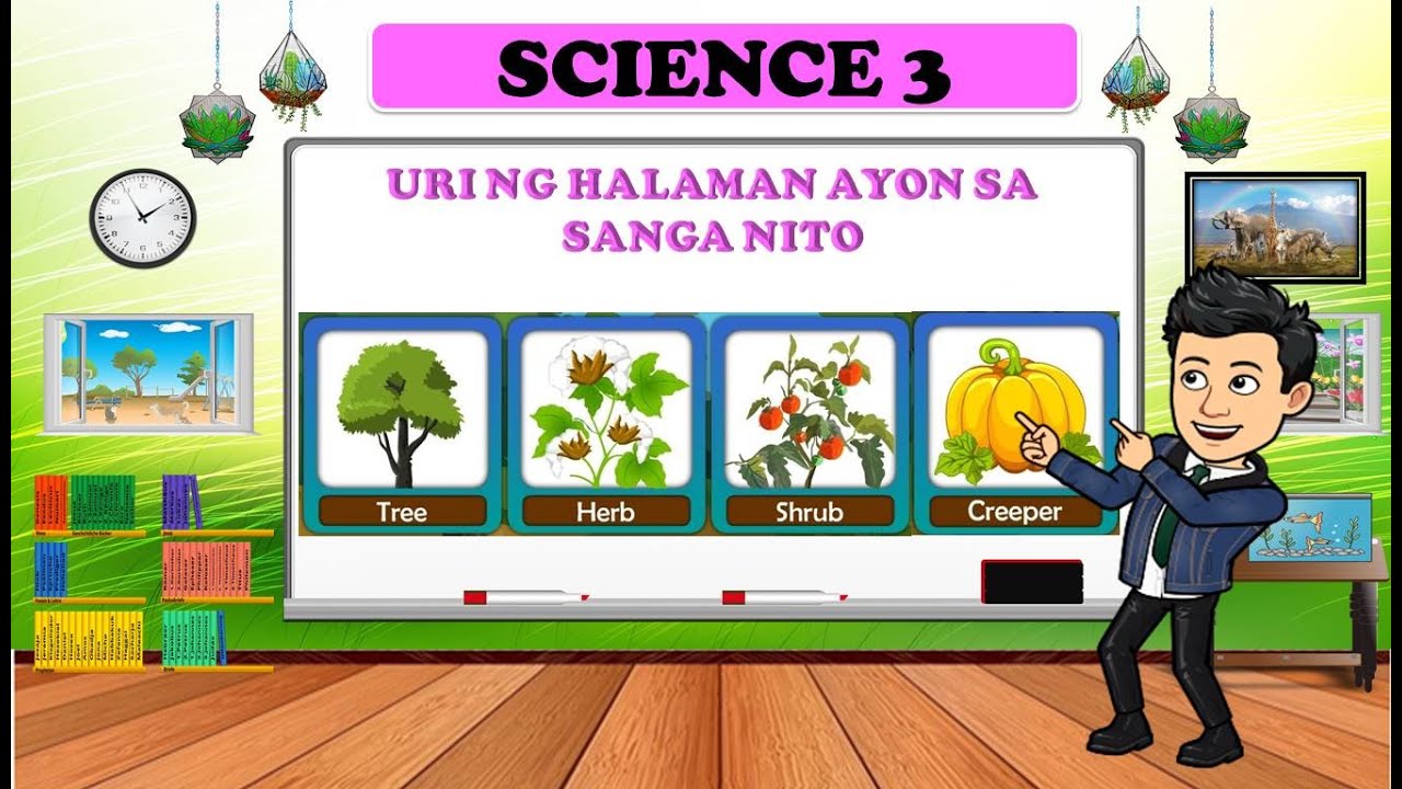 Putar video Mga Uri ng Halaman - Trees, Herbs , Vines , Shrubs - SCIENCE 3 - QUARTER 2 sekarang Mga Uri ng Halaman - Trees, Herbs , Vines , Shrubs - SCIENCE 3 - QUARTER 2