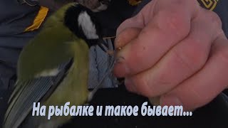 Недоволен рыболов почему плохой улов обидно досадно