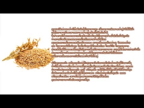 อวัยวะเพศชายอุปกรณ์ขยาย ประเภท aphrodisiacs สำหรับผู้หญิง