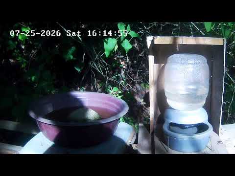Live Webcam View - Bird water trough in Tecpán Guatemala, Chimaltenango