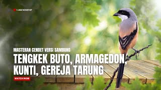 Download lagu 🔴 Masteran Cendet - Tengkek Buto, Armagedon, Kunti, Gereja Tarung ‼️ mp3